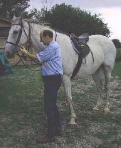 Claude at the stables, Pulloxhill, Bedfordshire