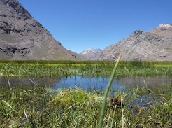 Ideal valley for camping in the High Andes