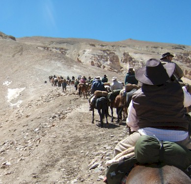 The final ascent of the High Andes with horses