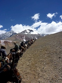 Horses ascending the the Espinacito Slope at 4500 m - 13,500 ft