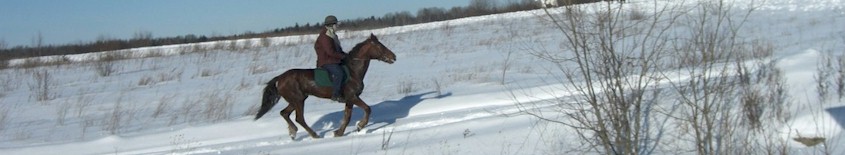 David gallops in the crisp Russian snow